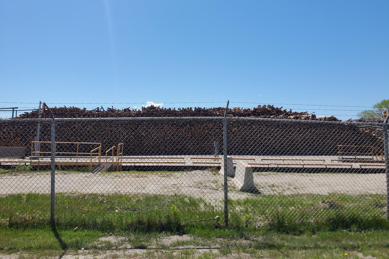 Log storage adjacent to the road