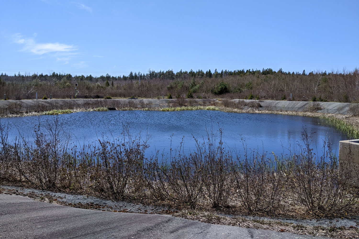 Off-site effluent treatment pond