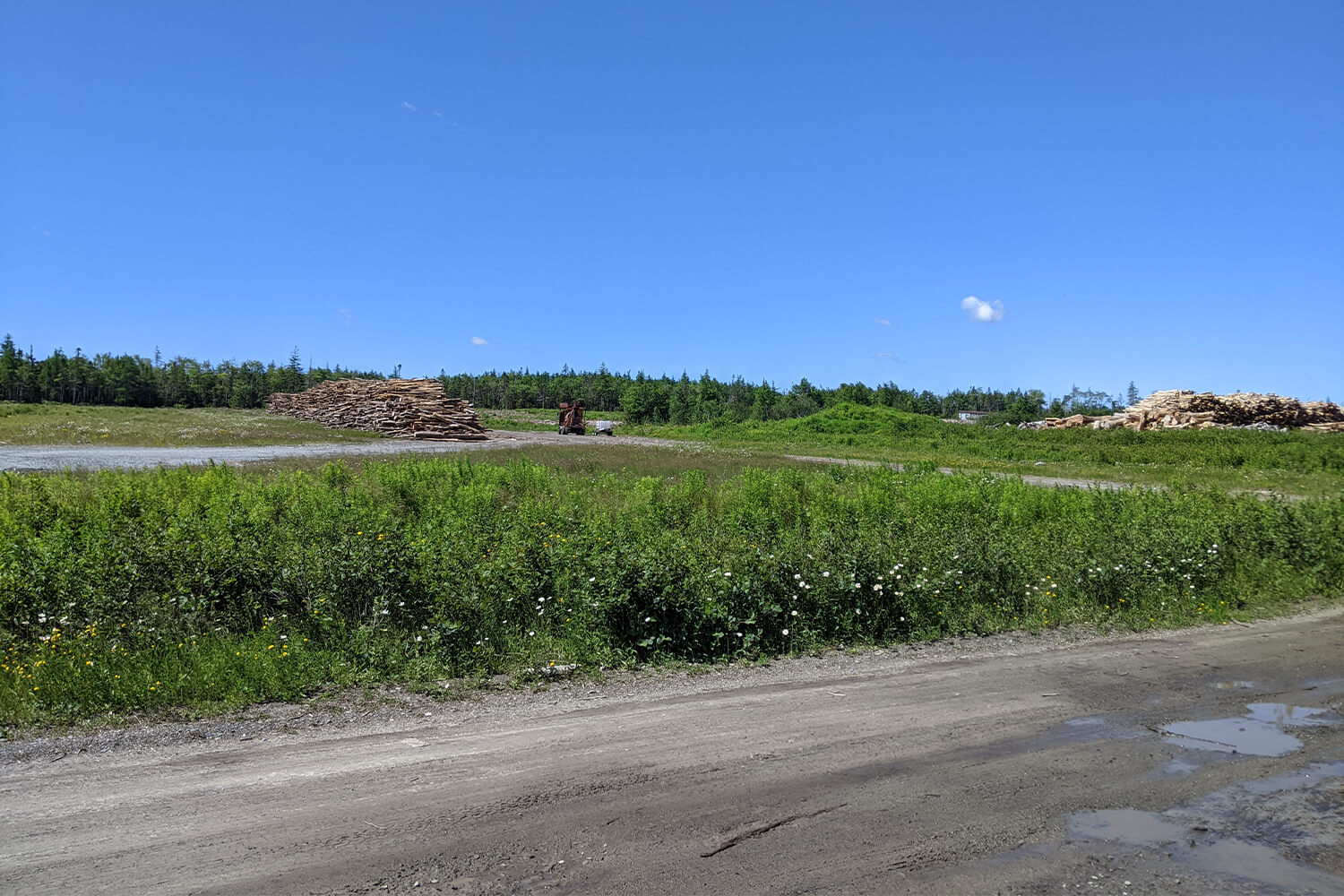 A cleared lot with road access, currently being used for wood storage